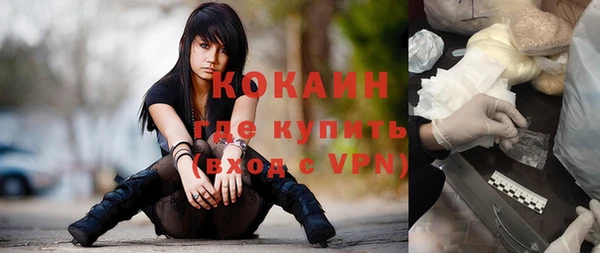винт Гусь-Хрустальный