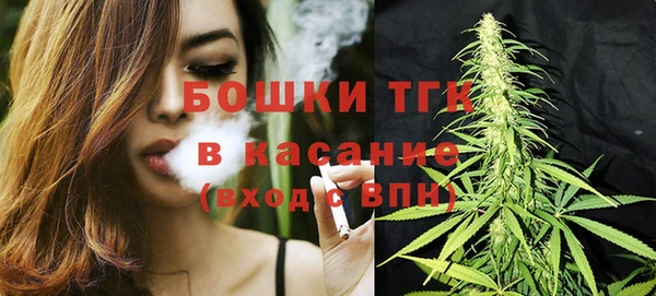 винт Гусь-Хрустальный