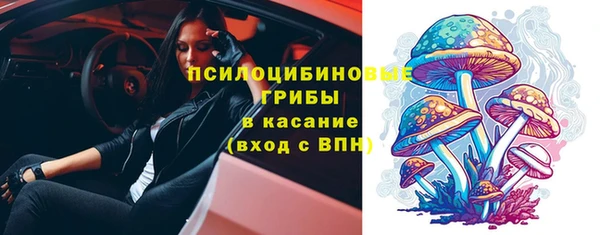прущий лед Гусев